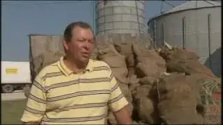Кукуруза из Айовы: серия &laquo;Сердце Америки&raquo;