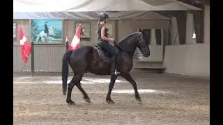 Academic Art of Riding: Week Student for Bent Branderup, June 2018