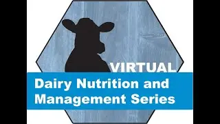 Bean - Dairy Efficiency Tracking