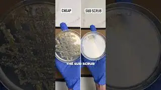 Boiled, swabbed, and scrubbed. Which one do you think won? 🤔#SkincareScience #BacteriaTest #SudScrub