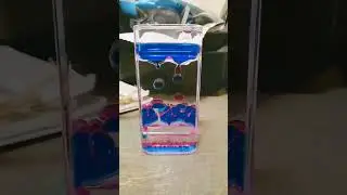 Liquid Motion Bubbler 3