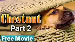 Chestnut: Hero of The Central Park - Chapter 02 