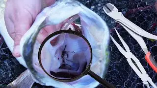 How To Unhook a Gut Hooked Pike!