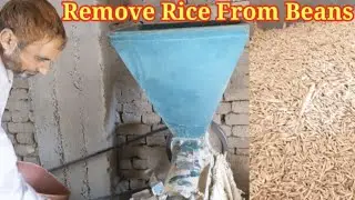 Rice Separator Machine | Remove Rice from Beans | Small Scale Rice Sheller