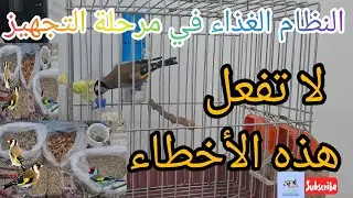 النظام الغذائي للحسون في مرحلة التجهيز | لا تفعل هذه الأخطاء #birds #الحسون #طيور