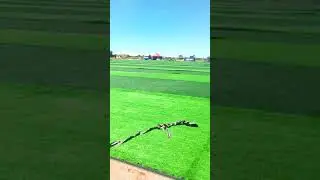 Angalia maajabu ya UWANJA WA SIMBA BUNJU COMPLEX