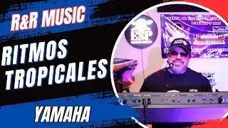 TECLADOS RITMOS Y SAMPLES EN VENTA
