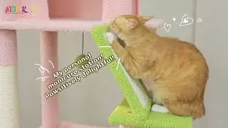 Grand arbre &agrave; chat de 180cm, meubles de maison, tour &agrave; chat, hamac pou