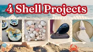 4 DIY Seashell Crafts for Your Home