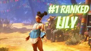 SF6 ElChakotay Rank #1 LP Lily Compilation | Street Fighter 6