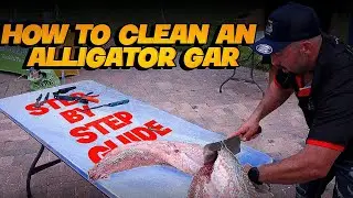 How to Clean an Alligator Gar &ndash; Expert Step-by-Step Seminar