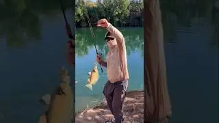 &ldquo;Bucket List Fish Finally Caught! 🎣 Fishing the Remote Australian Outback&rdquo;  #australianwildlife