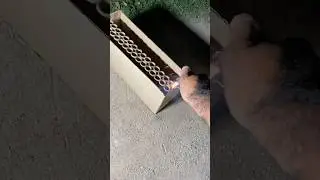 30 Shots Fireworks 🧨 #shorts #2024 #trending #reels