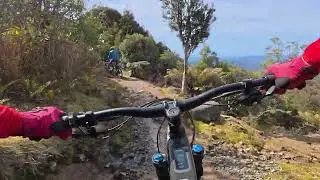 Blue Tier Forest Reserve - Blue Tier to Weldborough Pub 4K MTB POV (October 2025)