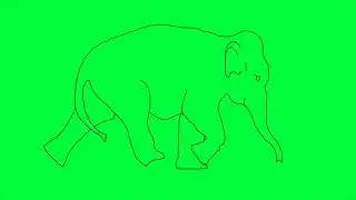animation cartoon hand drawn elephant slowly walking on green screen | premium Videos Free