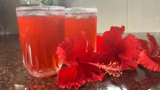 HIBISCUS TEA | RED TEA | EASY AFTERNOON DRINK | HAIL CREATION