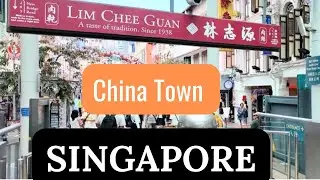 Singapore Series 🇸🇬 |Episode-17 | Last Day in Singapore | Exploring Local  China Town 🇨🇳 #singapore 