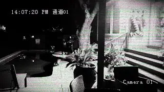 Black Friday: Act 2 (VHS Found Footage)