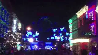 Osborne Lights at Walt Disney World I'm Getting Nothing For Christmas