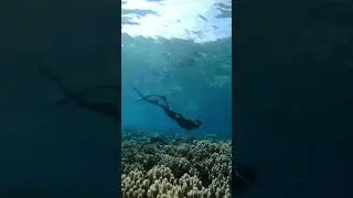 Well time spend in Bunaken island april 13th,2023 #shortsfeed #shortsvideo #freedive