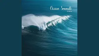 Ocean Sounds to Sleep, Pt. 16