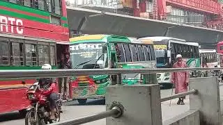 Egypt City Bus || Bus BD International