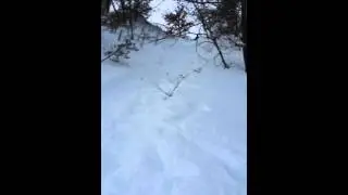 sluding