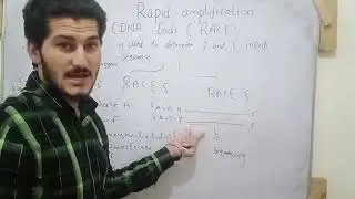 RACE rapid amplification of Cdna ends in English by undefined learning with simple way