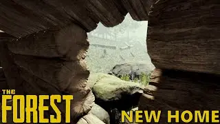 Let's Settle Down | The Forest