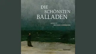 Heidenr&ouml;slein