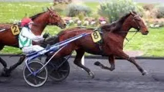 Courses du mardi 13 janvier. EXCELLENTE journ&eacute;e a vous. ☕️🏇💖👍.r&eacute;sultats 