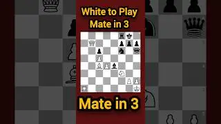 Can You Find Mate in 3? White to Play! #chess #ajedrez #checkmate #puzzle 🌼🌼