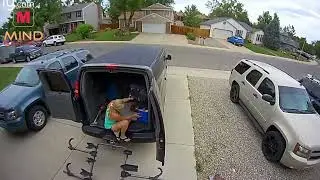 Must Watch Very Special New Funny Video || Caught on camera