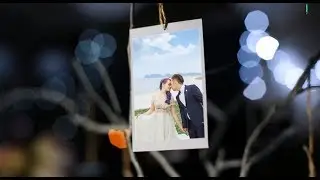 Style Wedding Proshow Producer - Beautiful