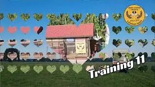DERBY ZAGREB FCI 2025.- Training 11