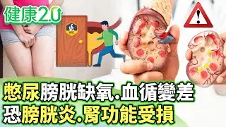 憋尿膀胱缺氧.血循變差 恐膀胱炎.腎功能受損【健康2.0分段】@tvbshealth20 EP3164-2 20260125 #陳欣湄#韋汝#洪永祥#洪峻澤#葉懿昕#廖婉絨#雷議宗
