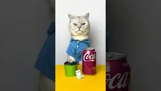 Flame trick with Paper Cup. Popular life hacks #cuddleclawshow #lifehacks #foryou #catchef #cats