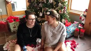 Wintersong (Sarah McLachlan) Cover by The DeMelo Sisters