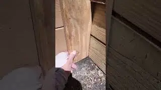 deck repairs