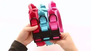Durable Military Tactical Dog Collar Bungee Leash Set | Pet Products