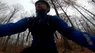 Agreement Forest
