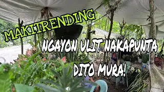 NGAYON ULIT NAKAPUNTA MURA!
