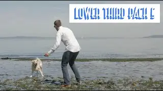 Lower Third Pack 5: 15 animated lower thirds for Final Cut Pro X
