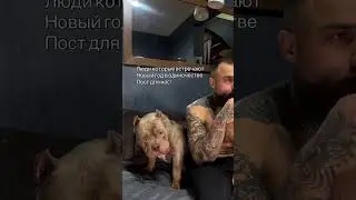 1 января 2026 г.