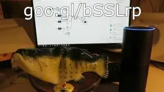 Connecting Big Mouth Billy Bass to Octoblu and Amazon Echo