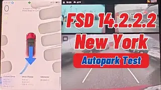 Tesla Autopark v14.2.2.2 Test: Streets, Lots & One Fail