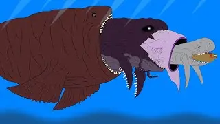 Fish Eat Fish Size Comparison // Ending With The Bloop Diet