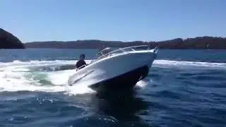MorningStar 498R performances brut