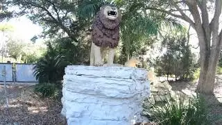 Safari Trek POV Full Ride at LEGOLAND Florida