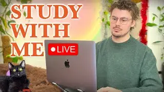 Study With Me LIVE 🚀 12-HOURS &mdash; Deep Focus (50/10 Pomodoro) | Cozy UK Rain, No Distractions!